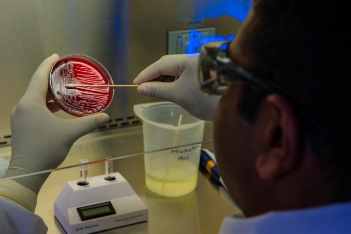 This photograph depicted an Enteric Diseases Laboratory Branch (EDLB) public health scientist, preparing bacteria for a DNA fingerprinting test