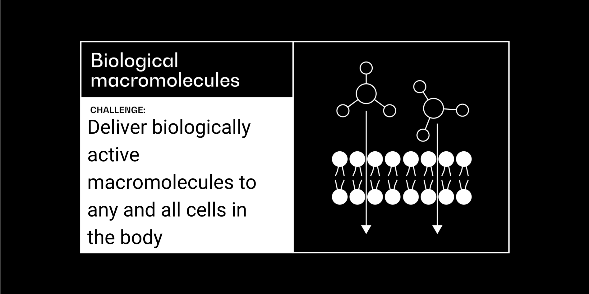 Biological macromolecules cancer grand challenge