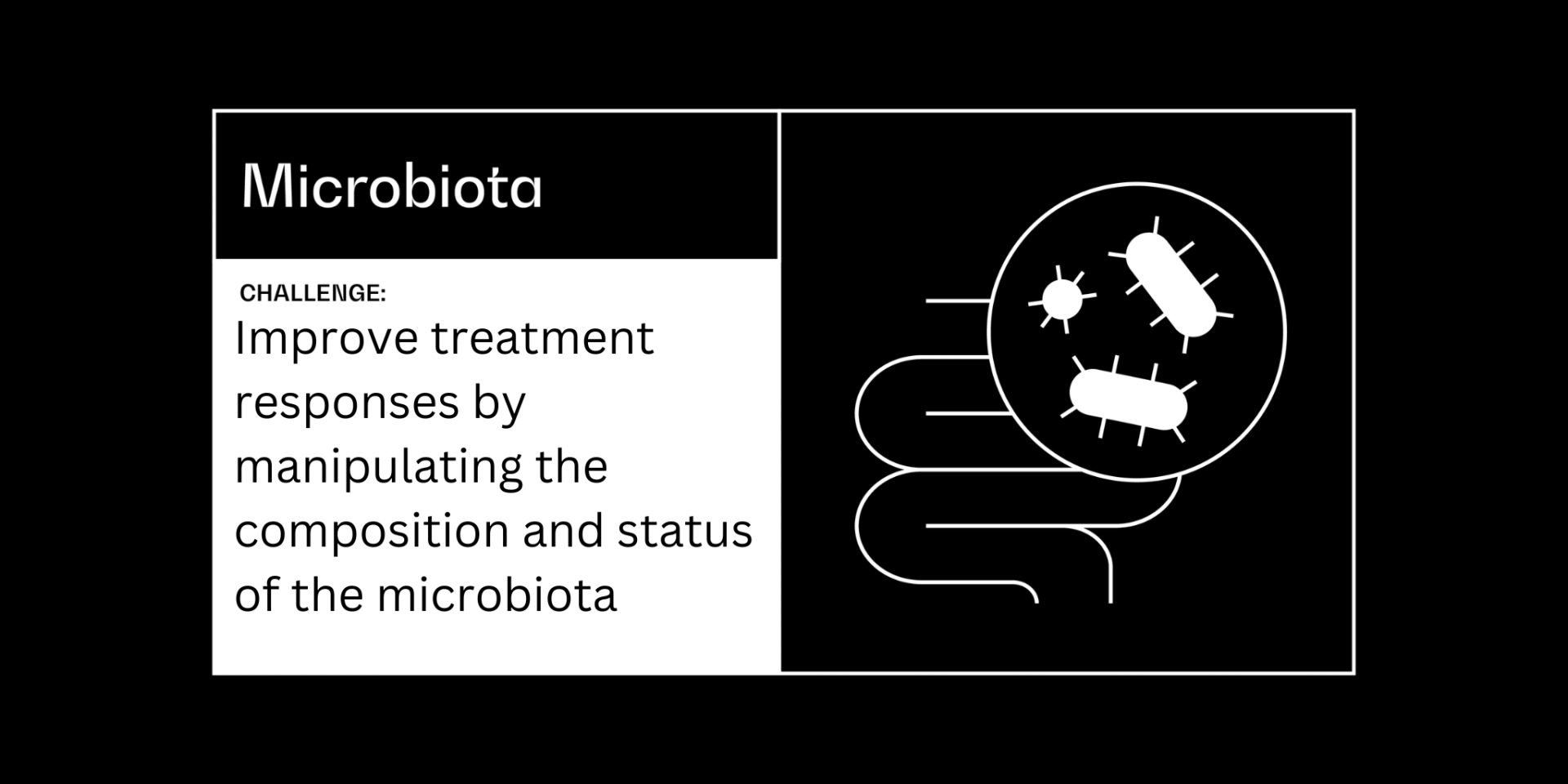 Microbiota cancer grand challenge