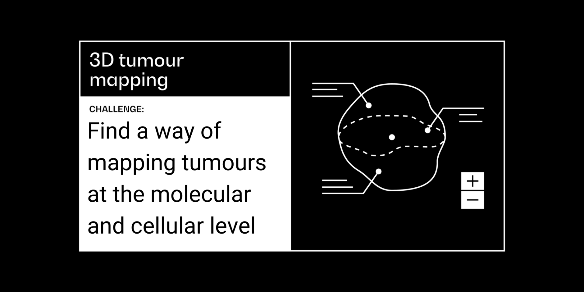 3D tumour mapping challenge