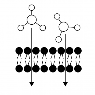 Macromolecules Icon