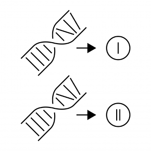 Tissue specificity icon