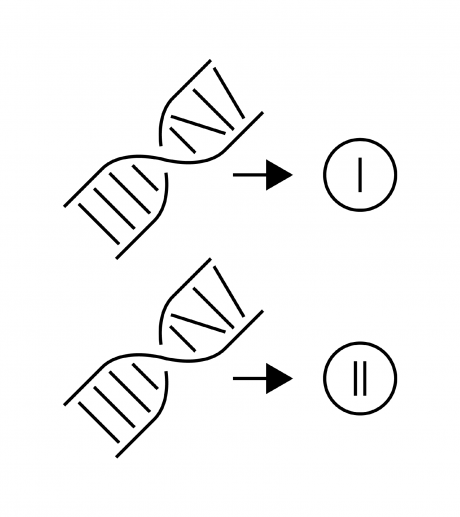 Tissue specificity icon