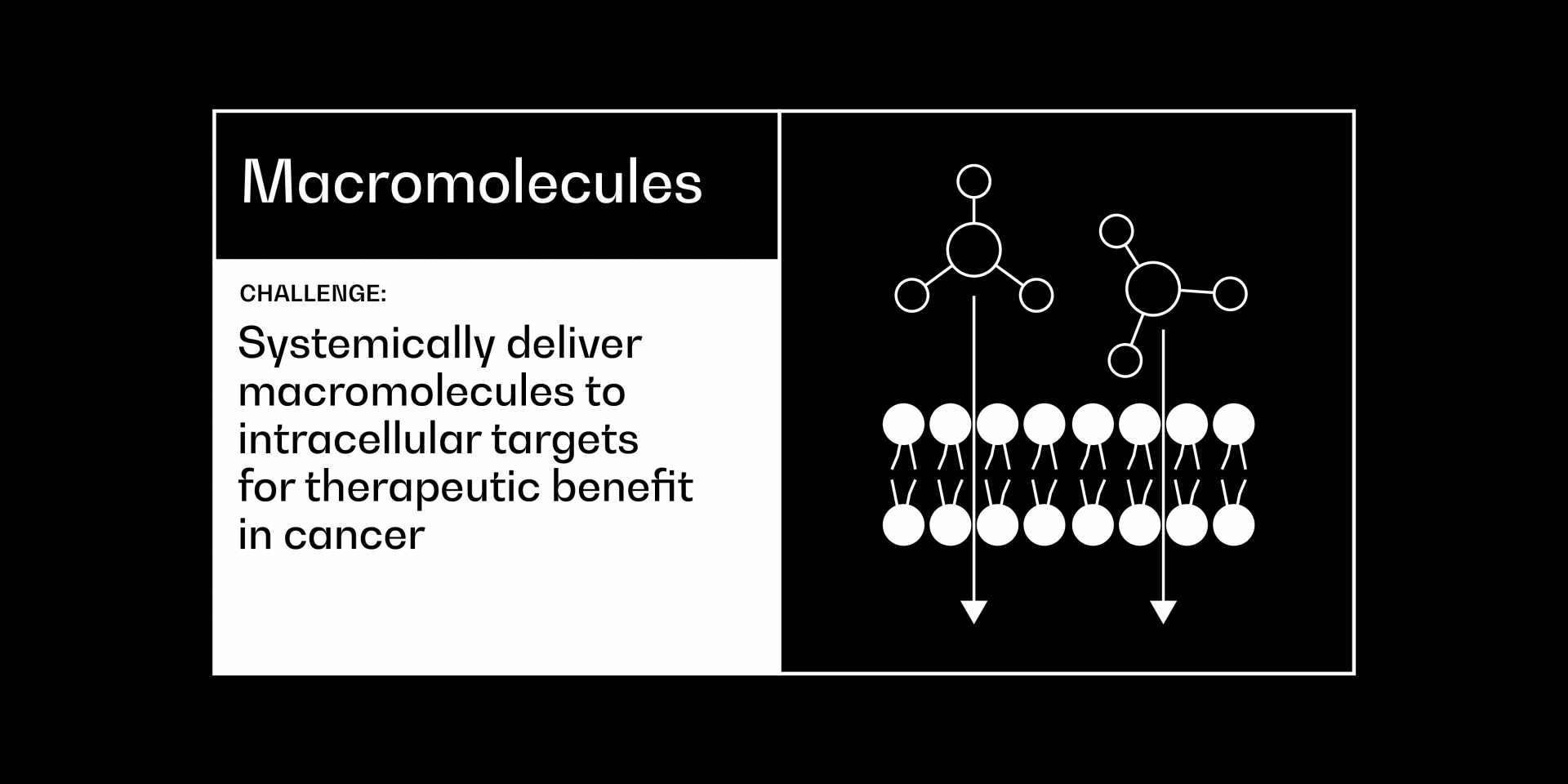 Macromolecules cancer grand challenge