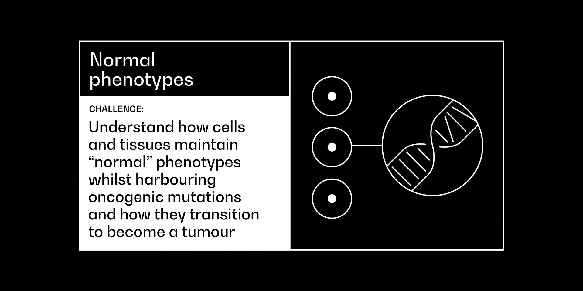 normal phenotypes cancer grand challenge 