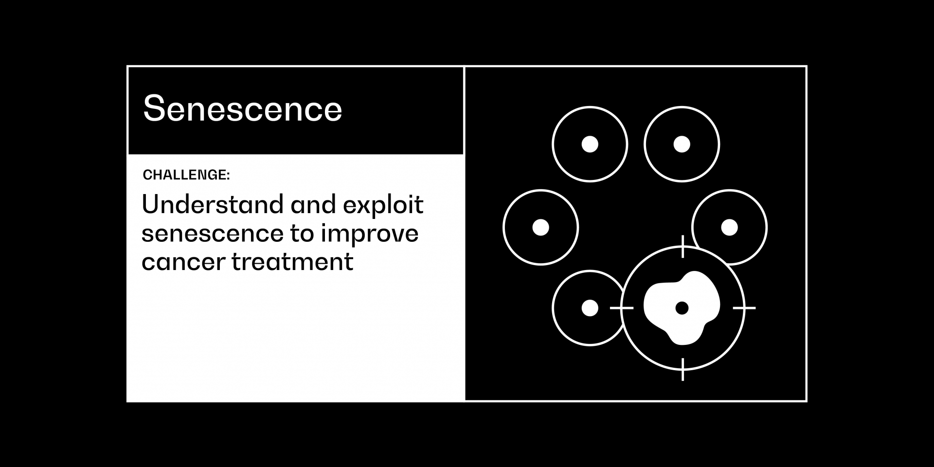 Senescence cancer grand challenge