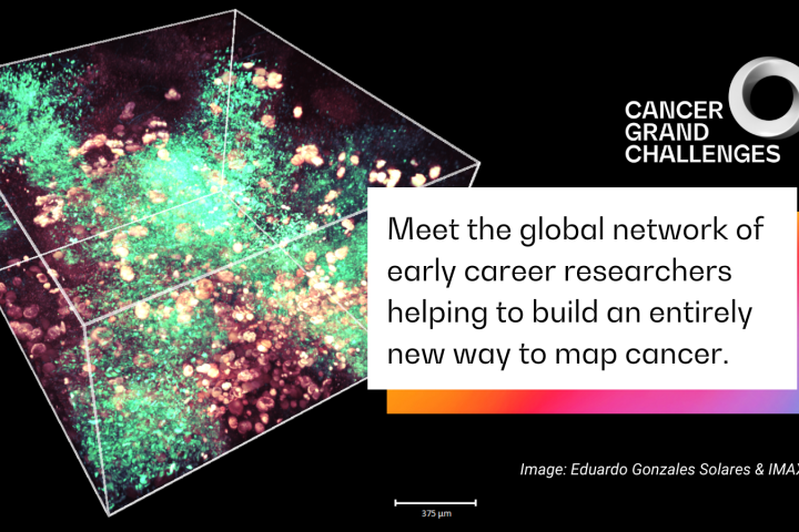 IMAXT header with image of 3D Tumour 