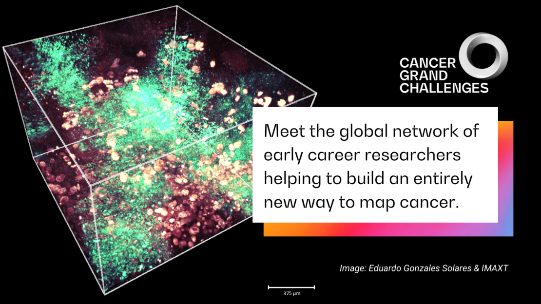 IMAXT header with image of 3D Tumour 