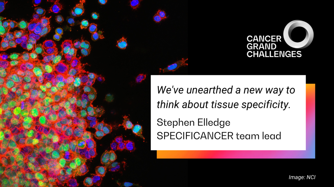 SPECIFICANCER header with quote from Stephen Elledge