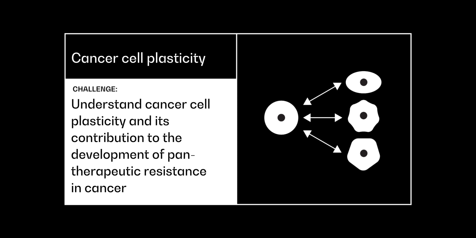 Cancer call plasticity hero