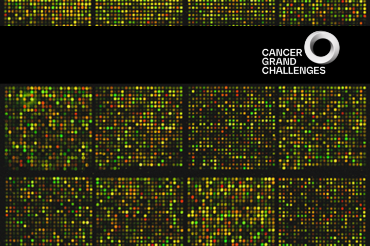 Microarray