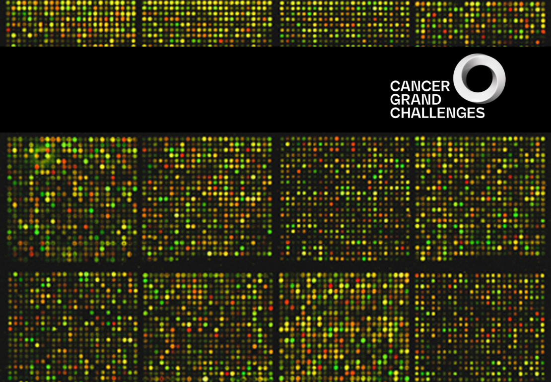 Microarray